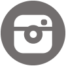 Instagram Icon